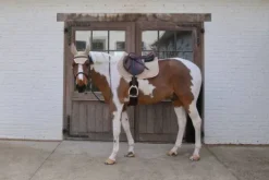 Tapis de selle softshell onion quilt mixte - Kentucky Tapis De Cso|Tapis De Selle