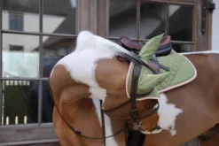 Tapis de selle softshell onion quilt mixte - Kentucky Tapis De Cso|Tapis De Selle