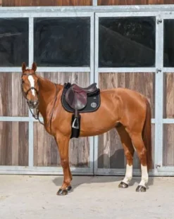 Best Tapis de selle Sony Tapis De Cso|Tapis De Selle