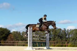 Tapis de selle Sportive Chantelle - Tapis De Dressage|Tapis De Selle