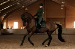 Online Tapis de selle Sportive Sycamore Green - Tapis De Dressage|Tapis De Selle