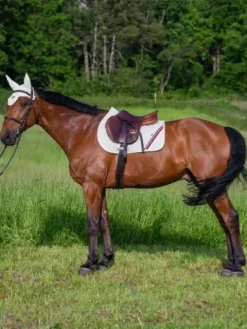 Sale Tapis de selle Stanford MIXTE - Tapis De Cso|Tapis De Selle