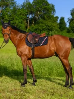 Sale Tapis de selle Stanford MIXTE - Tapis De Cso|Tapis De Selle