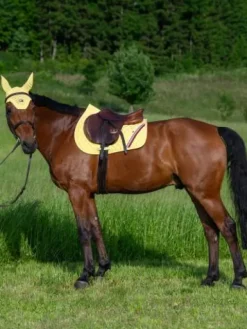 Sale Tapis de selle Stanford MIXTE - Tapis De Cso|Tapis De Selle