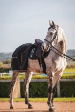 Online Tapis de selle TEN - Tapis De Cso|Tapis De Selle