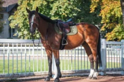 Online Tapis de selle TEN - Tapis De Cso|Tapis De Selle