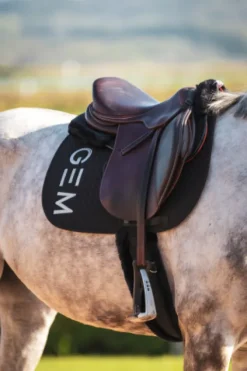 Online Tapis de selle TEN - Tapis De Cso|Tapis De Selle