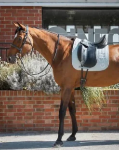 Sale Tapis de selle Ten en CSO ou Dressage Tapis De Dressage|Tapis De Cso