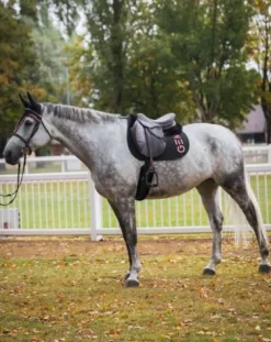 Sale Tapis de selle Ten en CSO ou Dressage Tapis De Dressage|Tapis De Cso