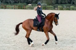 Outlet Tapis de selle Total Eclipse - Tapis De Dressage|Tapis De Selle