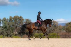 Outlet Tapis de selle Total Eclipse - Tapis De Dressage|Tapis De Selle