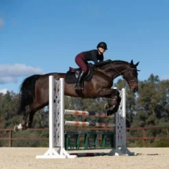 Outlet Tapis de selle Total Eclipse - Tapis De Dressage|Tapis De Selle