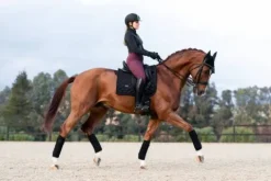 Outlet Tapis de selle Total Eclipse - Tapis De Dressage|Tapis De Selle