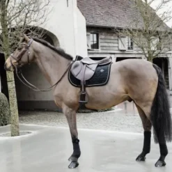 Sale Tapis de selle Velvet Basic - Kentucky Tapis De Dressage|Tapis De Cso