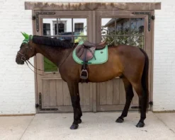 Clearance Tapis de Selle Velvet printing - Kentucky - Velours élégant Tapis De Cso|Tapis De Selle