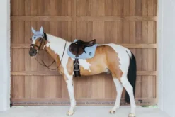 Sale Tapis de selle Wave - Kentucky Tapis De Dressage|Tapis De Cso