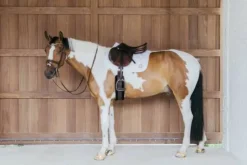 Sale Tapis de selle Wave - Kentucky Tapis De Dressage|Tapis De Cso