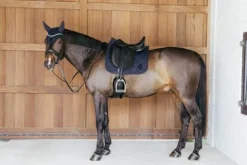 Sale Tapis de selle Wave - Kentucky Tapis De Dressage|Tapis De Cso