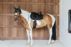 Sale Tapis de selle Wave - Kentucky Tapis De Dressage|Tapis De Cso