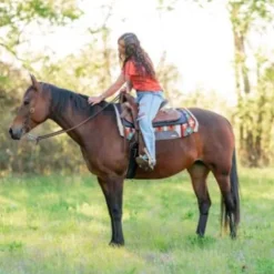 Outlet Tapis de selle Western Perfect Fit Tapis Western|Tapis De Selle