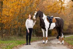 Best Tapis dressage Loire Tapis De Dressage|Tapis De Selle