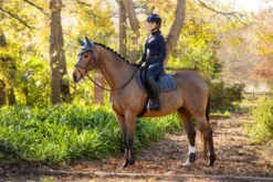 Best Tapis dressage Loire Tapis De Dressage|Tapis De Selle