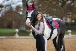 Best Tapis dressage Loire Tapis De Dressage|Tapis De Selle