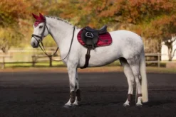 Best Tapis dressage Loire Tapis De Dressage|Tapis De Selle