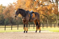 Best Tapis dressage Loire Tapis De Dressage|Tapis De Selle