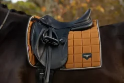 Best Tapis dressage Loire Tapis De Dressage|Tapis De Selle