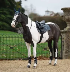 Best Tapis dressage Loire Tapis De Dressage|Tapis De Selle