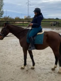 Tapis dressage vert sapin Tapis De Dressage|Tapis De Selle