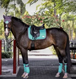 Sale Tapis Frosty Mint - Tapis De Dressage|Tapis De Cso