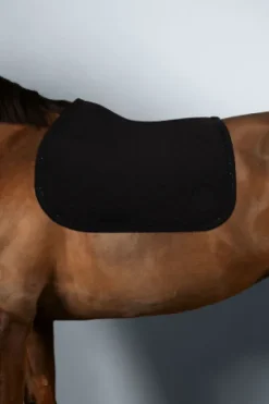 Best Tapis Saphir Tapis De Cso|Tapis De Selle