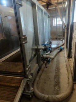 Online Tapis immeé Tapis Roulant Chevaux