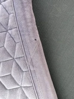 Discount Tapis Kentucky velvet mauve Tapis De Cso