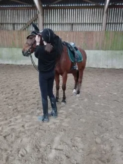 Online Tapis Kentucky  vert sapin parfait état taille cheval Tapis De Cso