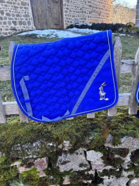 Hot Tapis Lonney Tunes vintage Tapis De Cso|Tapis De Selle