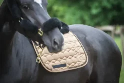 Discount Tapis Eurofit Deluxe Edition hiver 2020 - Sable satiné Tapis De Dressage|Tapis De Selle