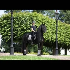 Tapis My Passion - Silver Glaze Tapis De Dressage|Tapis De Selle