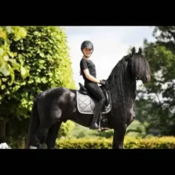 Tapis My Passion - Silver Glaze Tapis De Dressage|Tapis De Selle