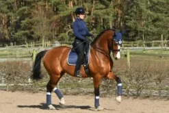 Hot Tapis Navy Shimmer - Tapis De Cso|Tapis De Selle