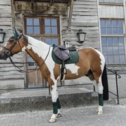 Sale Tapis Velvet Pearl Sapin - KENTUCKY Tapis De Cso|Tapis De Selle