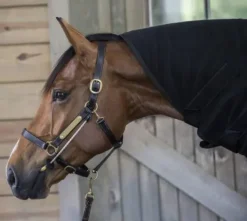 Sale Busy Buddy - Aide votre cheval à se relaxer Comportements·Nervosité Et Stress