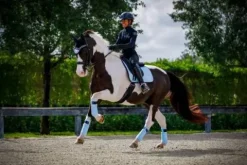 Best Top Base layer Black Silver - Femme Tenue D'Équitation Femme·T-Shirts équitation Femme|Tenue D'Équitation Femme·Polos Et Chemises