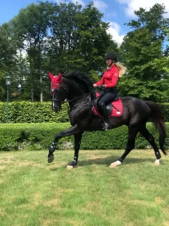 Sale Top Base layer Chili Pepper - Femme Tenue D'Équitation Femme·Polos Et Chemises