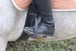 Étrier compositi Etriers Et Accessoires