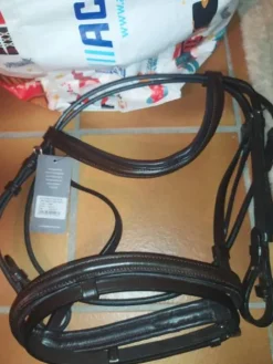 Hot Vends fillet taille poney Bridons Et Brides·Bridon Cuir