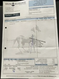 Clearance Vente Amortisseur Neuf Bruno Amortisseurs De Dos