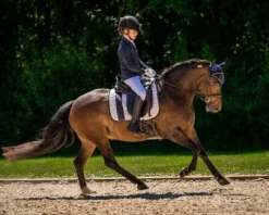 Outlet Veste concours enfants Kae Enfant Les Jeunes En Concours|Les Enfants En Concours